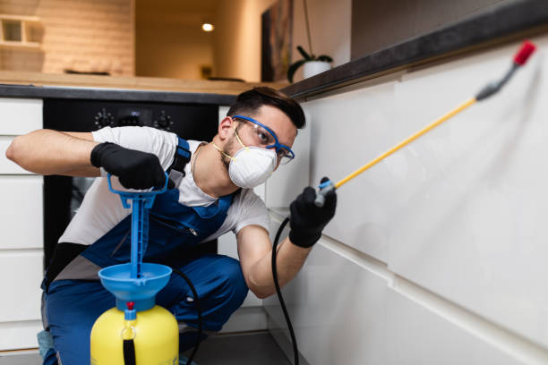 Best Ant Control Services  in Glencoe, FL