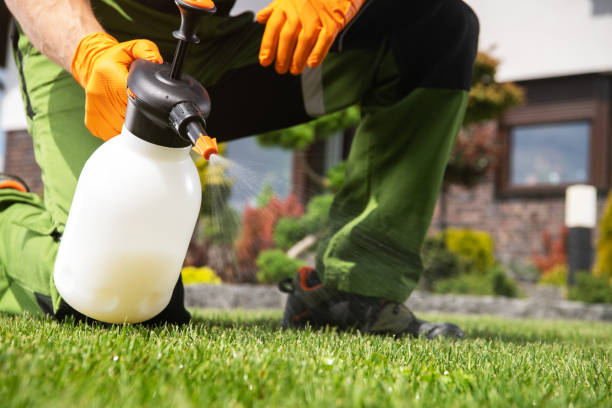 Best Best Pest Control Companies  in Glencoe, FL