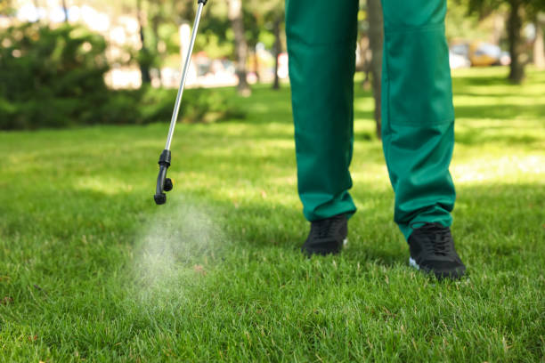 Best Pest Control for Businesses  in Glencoe, FL