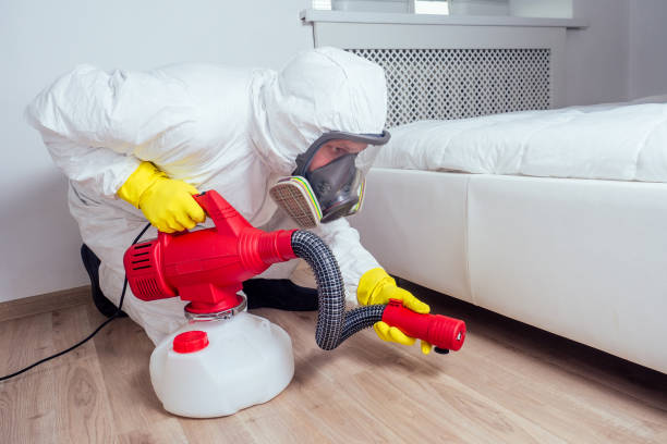 Best Best Pest Control Companies  in Glencoe, FL