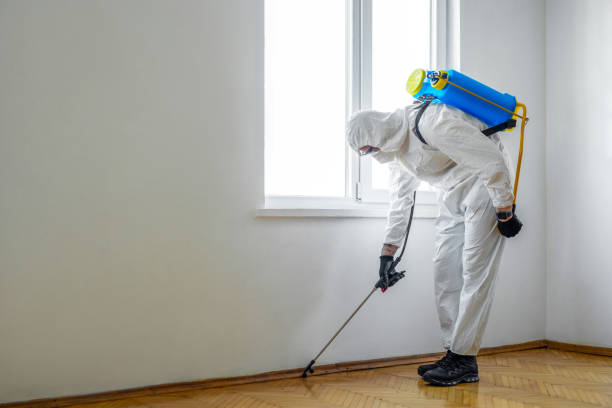 Best Residential Pest Control  in Glencoe, FL