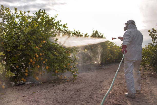 Best Pest Removal Services  in Glencoe, FL