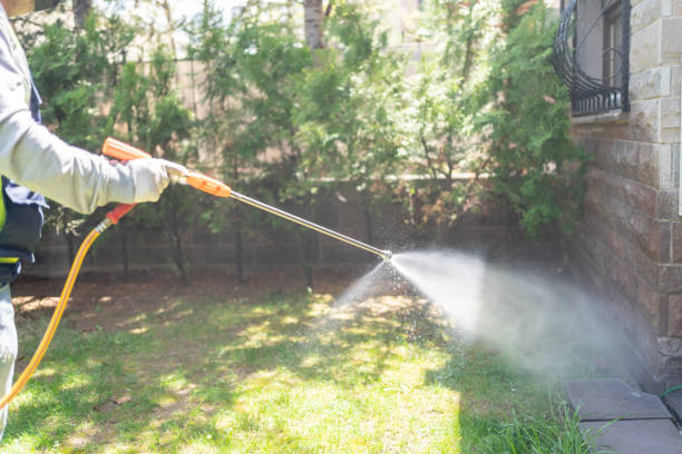 Bird Control in Glencoe, FL