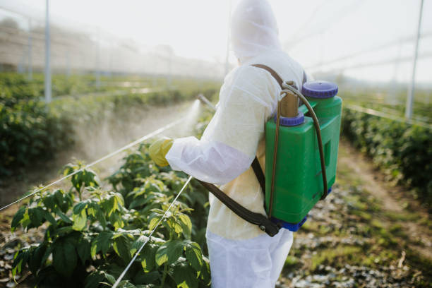 Best Pest Control Near Me  in Glencoe, FL
